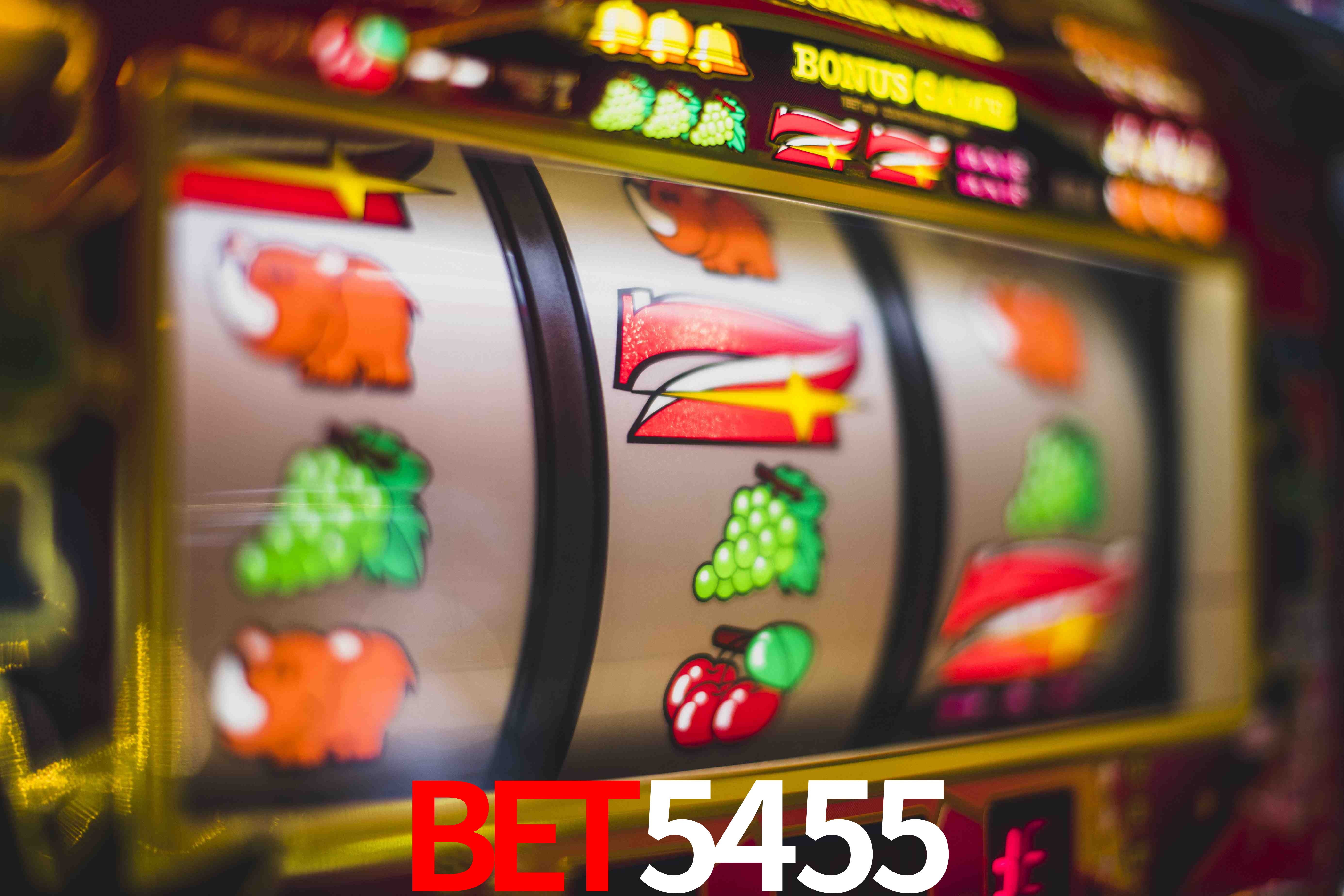VIP Casino BET5455